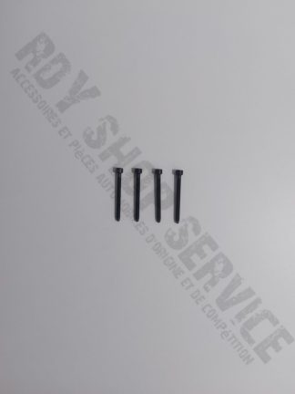 Vis support injecteur 1.9 TDI 100/160 Engitech