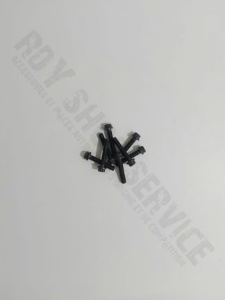 Boulon de bielle Seat-Skoda-VW 1.9 TDI 130