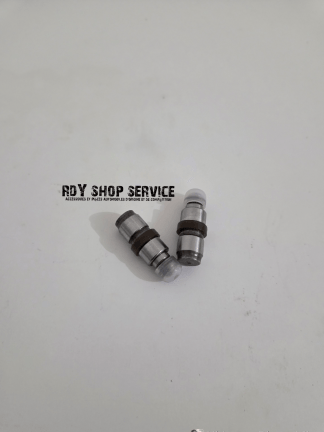 Poussoir INA black  2.0 HDI