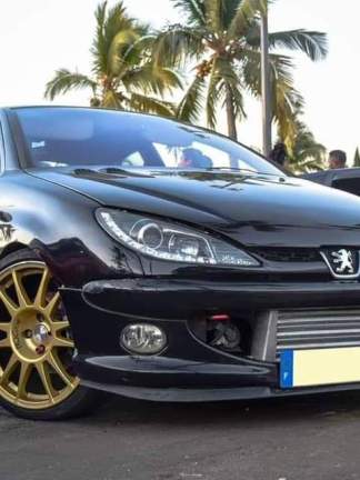 *Groupe PSA 1,6/2l HDi